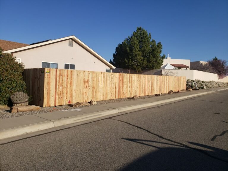 Resized_20230415_080906_320085408611853